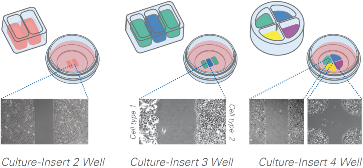 20220525-125574435.png 20220525-125574435.png